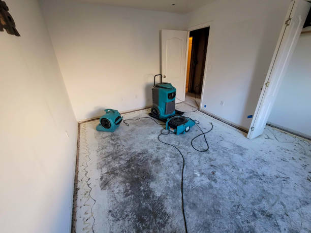 Best Basement Water Damage Restoration in Greenbrier, TN